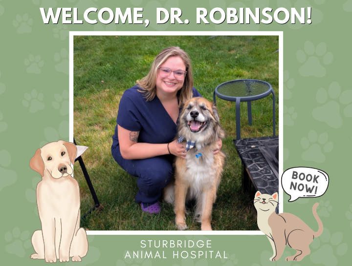 Meet Our New Veterinarian: Dr. Robinson!